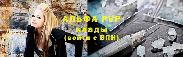 стаф Надым
