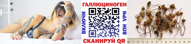 OMG рабочий сайт  купить наркотик  Зубцов  Галлюциногенные грибы GOLDEN TEACHER 